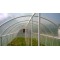 PVC plastenik 3,20m * 6,00m